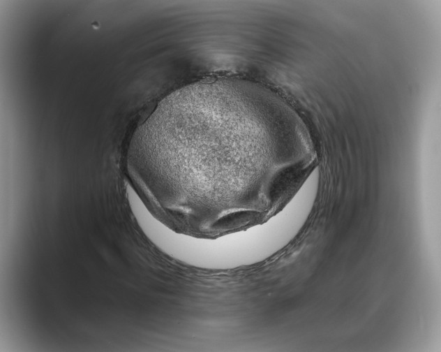 X0000089660916200707051527