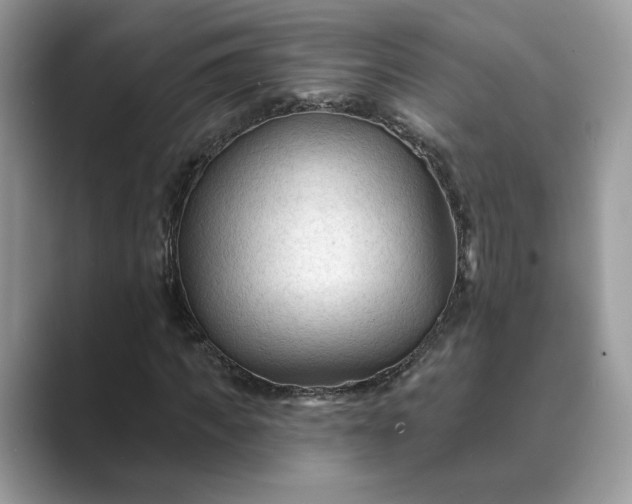 X0000089660917200707051527