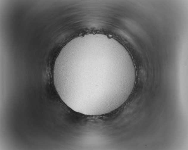 X0000089660918200707051527