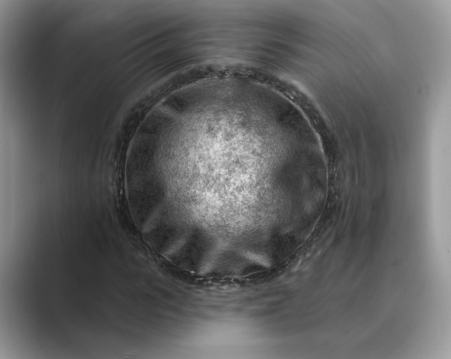 X0000089660919200707051527