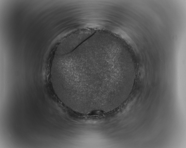 X0000089660920200707051527