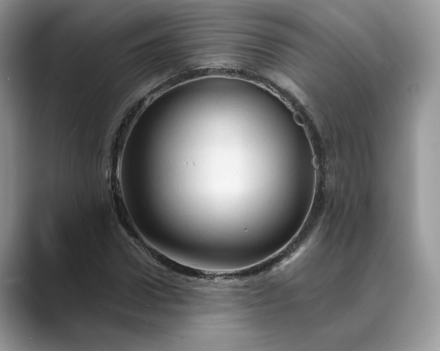 X0000089660922200707051527