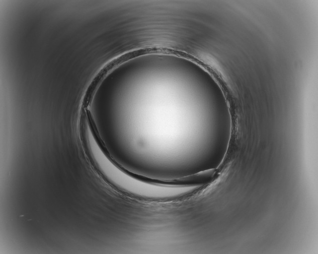 X0000089660924200707051527