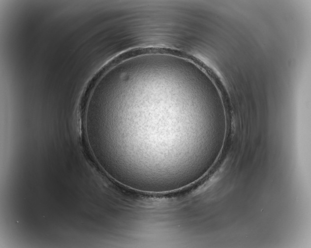 X0000089660925200707051527