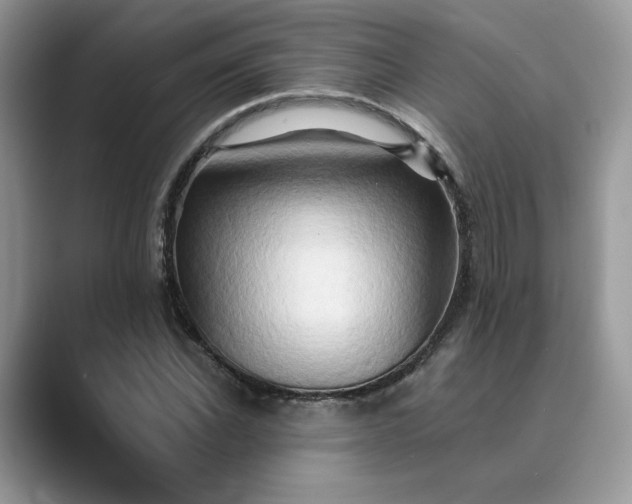 X0000089660926200707051527