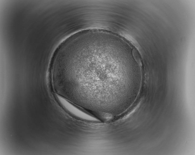 X0000089660928200707051527