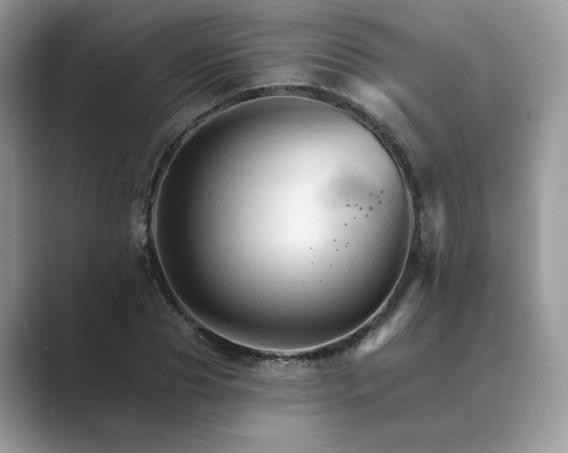 X0000089660929200707051527