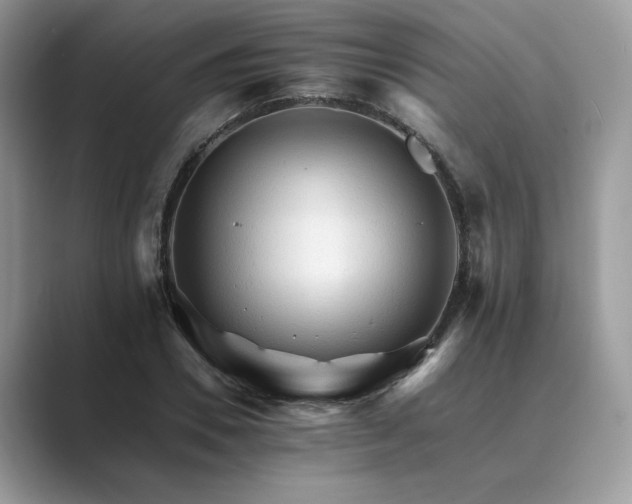 X0000089660930200707051527