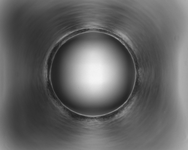 X0000089660931200707051527