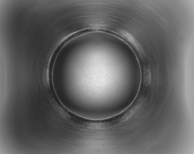 X0000089660932200707051527