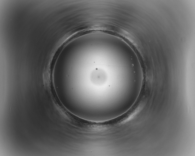 X0000089660933200707051527