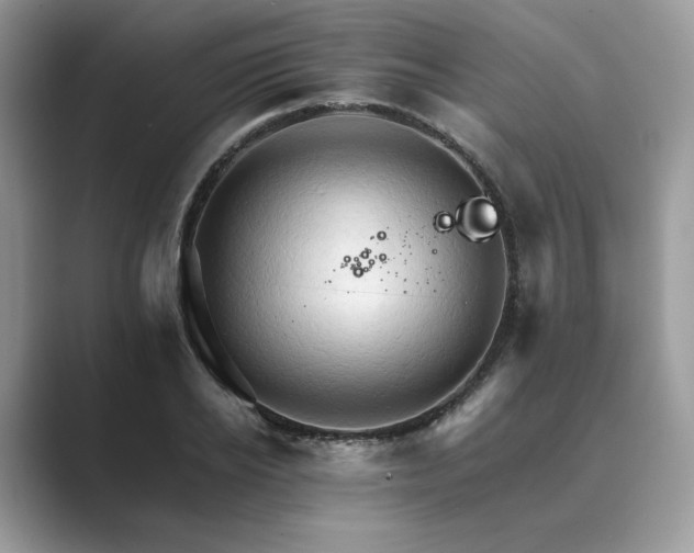 X0000089660934200707051527