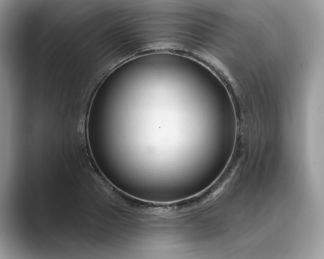 X0000089660937200707051527