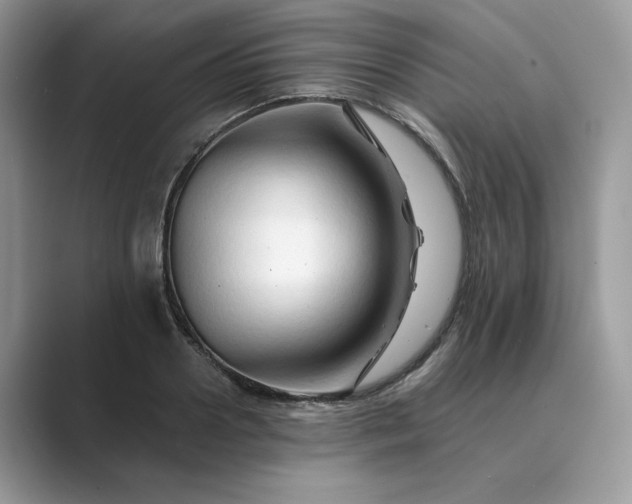 X0000089660938200707051527