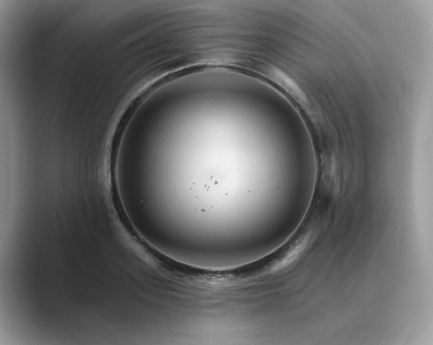 X0000089660939200707051527