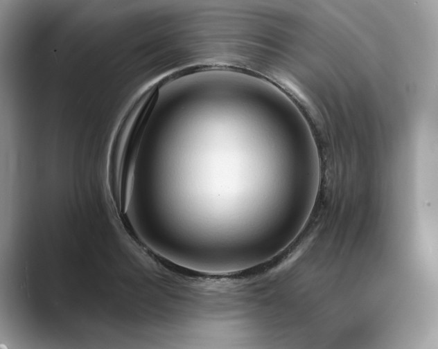 X0000089660940200707051527