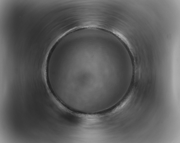 X0000089660941200707051527