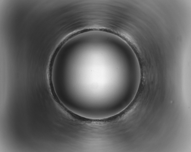 X0000089660942200707051527