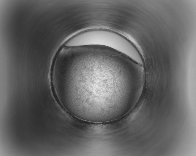 X0000089660943200707051527