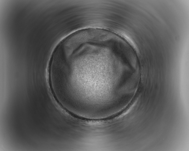 X0000089660944200707051527