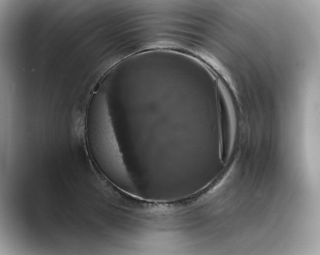 X0000089660945200707051527