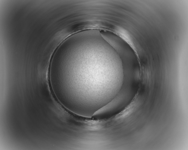 X0000089660946200707051527