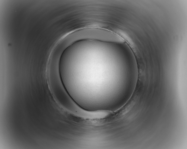 X0000089660948200707051527