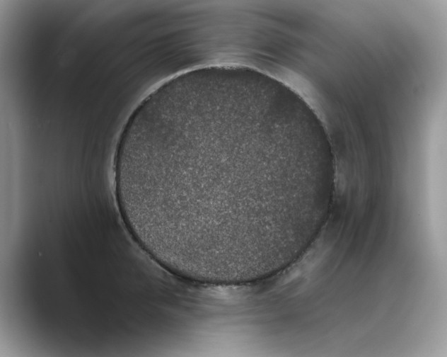 X0000089660950200707051527