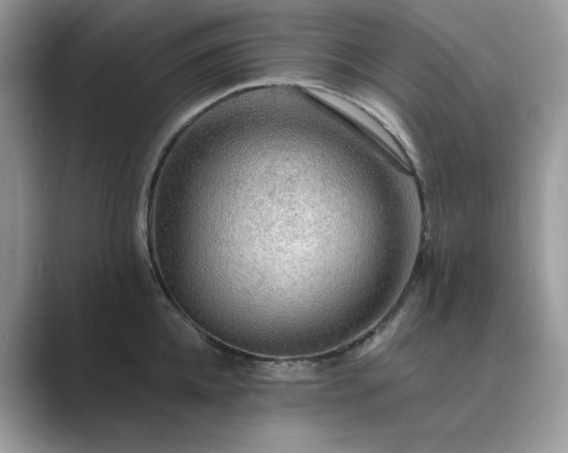 X0000089660952200707051527