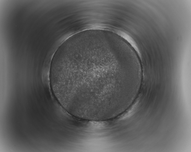 X0000089660954200707051527