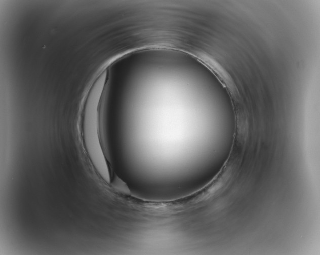 X0000089660956200707051527