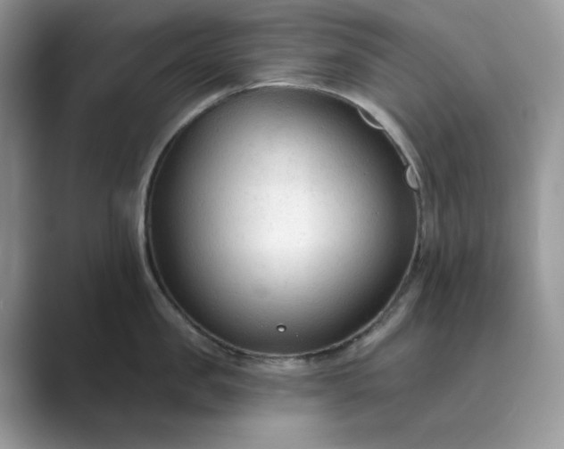 X0000089660957200707051527