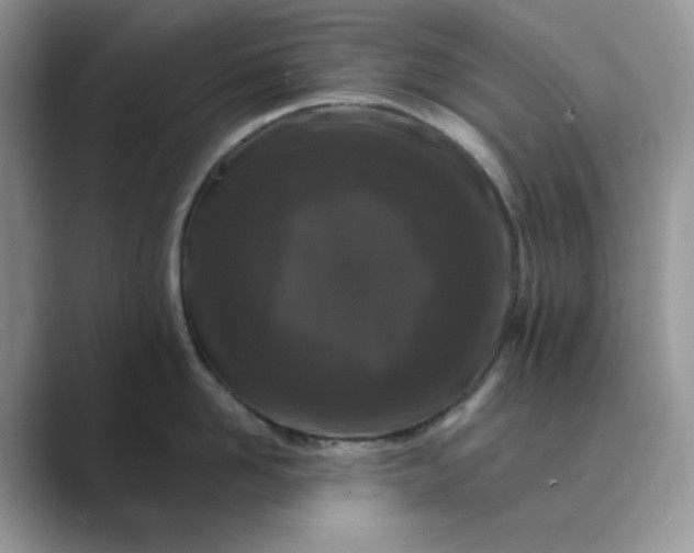 X0000089660958200707051527