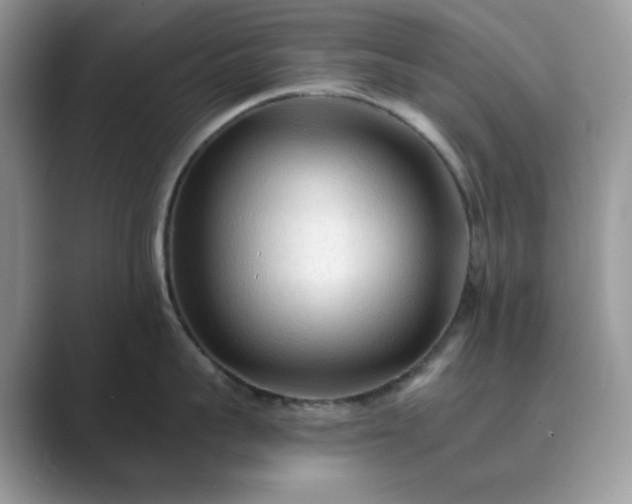 X0000089660959200707051527