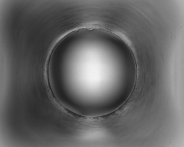 X0000089660960200707051527