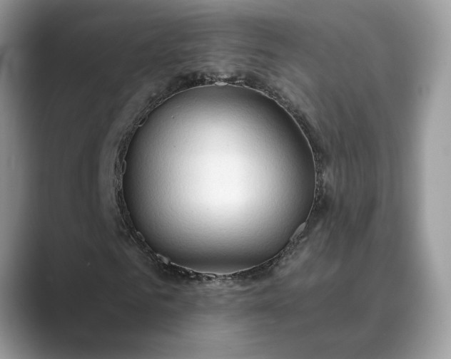 X0000089660961200707051527