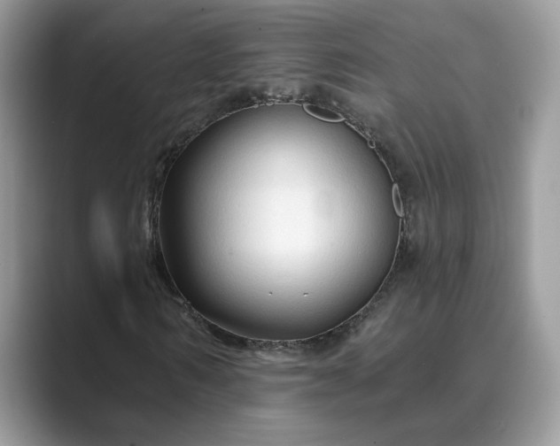 X0000089660962200707051527