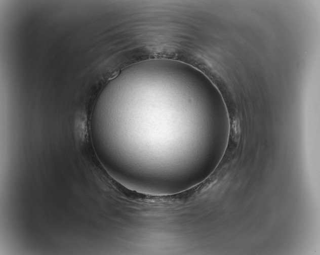 X0000089660963200707051527