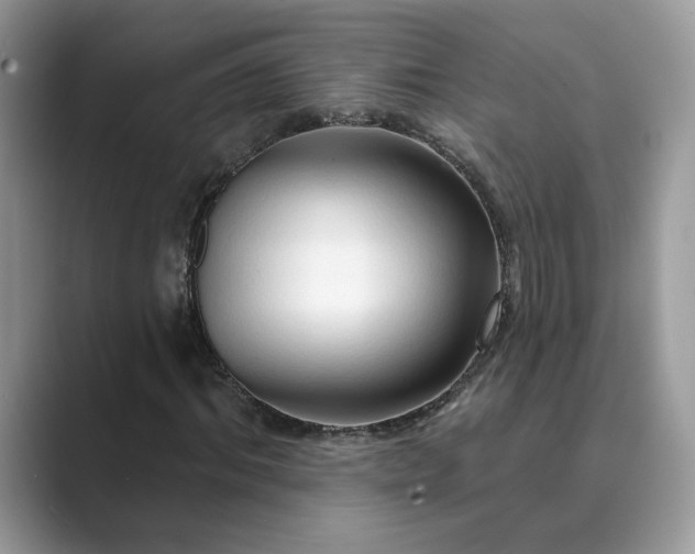 X0000089660964200707051527