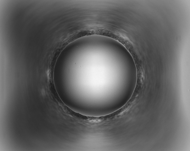 X0000089660965200707051527