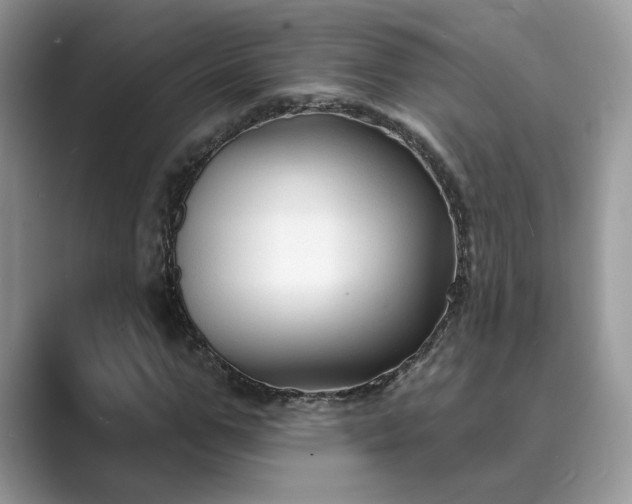 X0000089660967200707051527