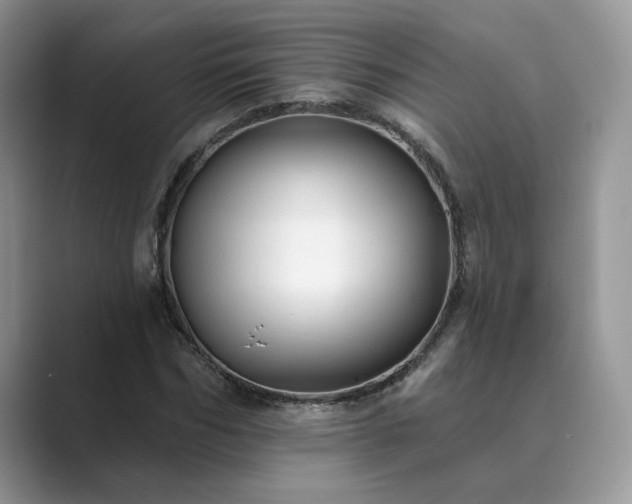 X0000089660970200707051527