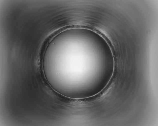 X0000089660971200707051527