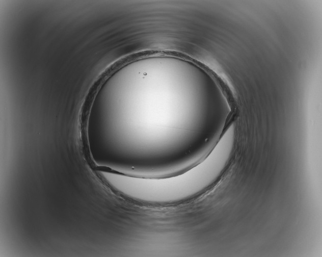 X0000089660972200707051527