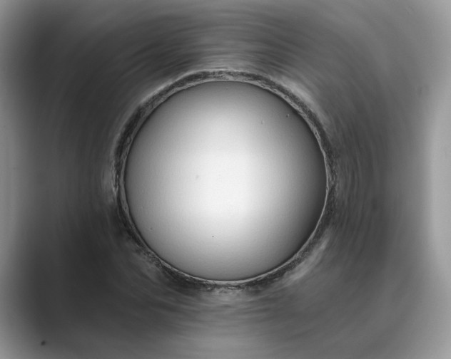 X0000089660974200707051527