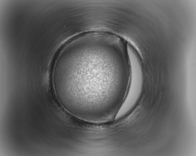 X0000089660975200707051527