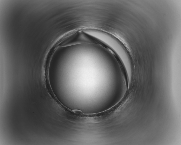 X0000089660976200707051527