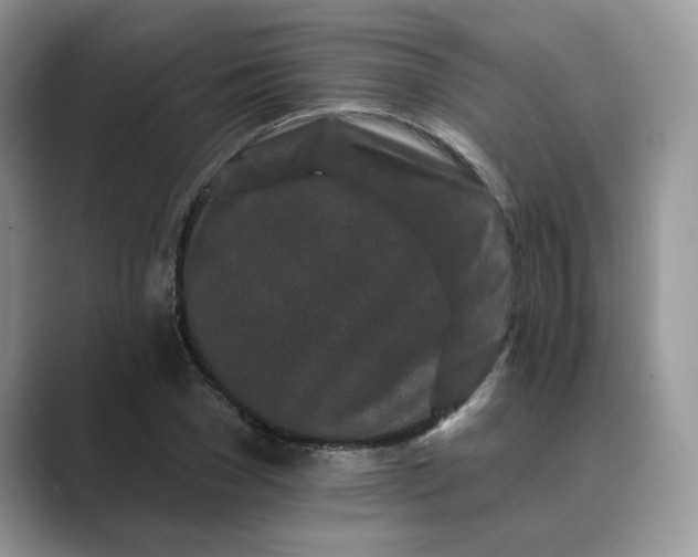 X0000089660977200707051527