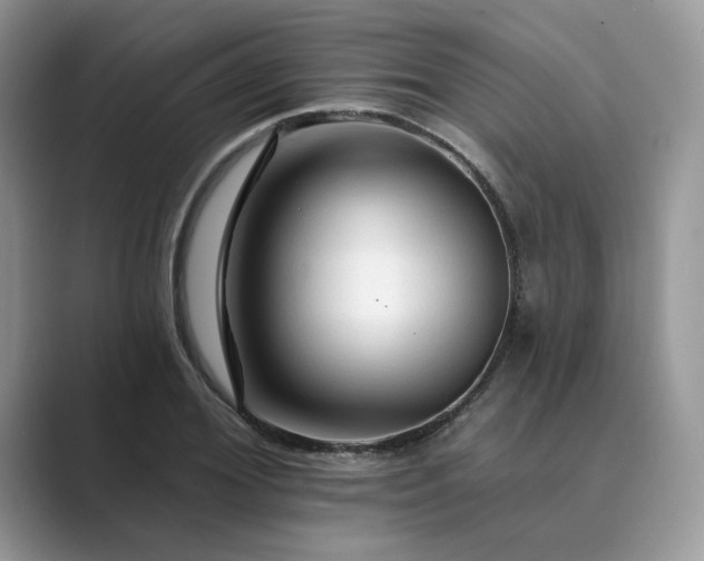 X0000089660980200707051527