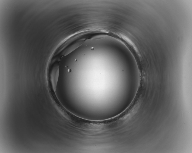 X0000089660981200707051527